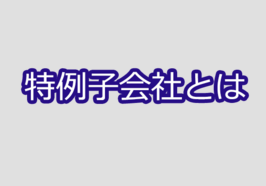 特例子会社とは
