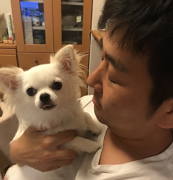 リベラル社員　犬