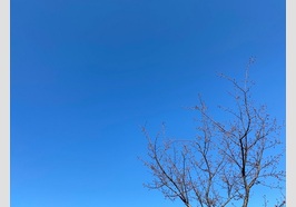 青空