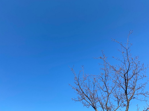 青空