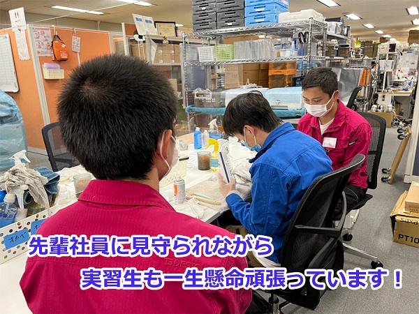 リベラル　社員　実習生